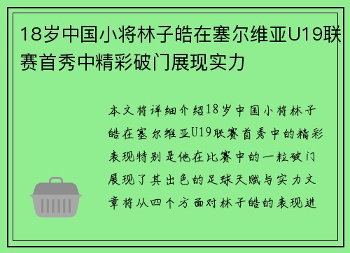18岁中国小将林子皓在塞尔维亚U19联赛首秀中精彩破门展现实力